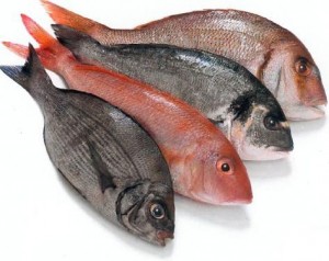 Penjual Ikan Segar